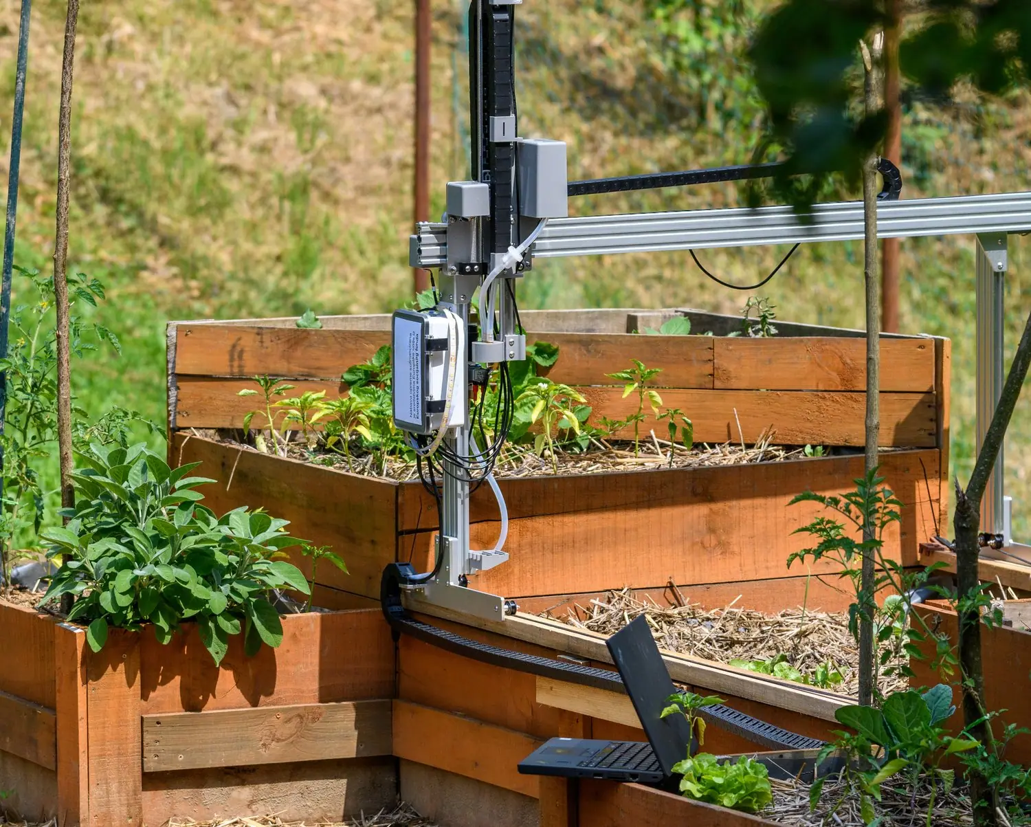 Smart garden - technologie w miejskim ogrodnictwie społecznościowym