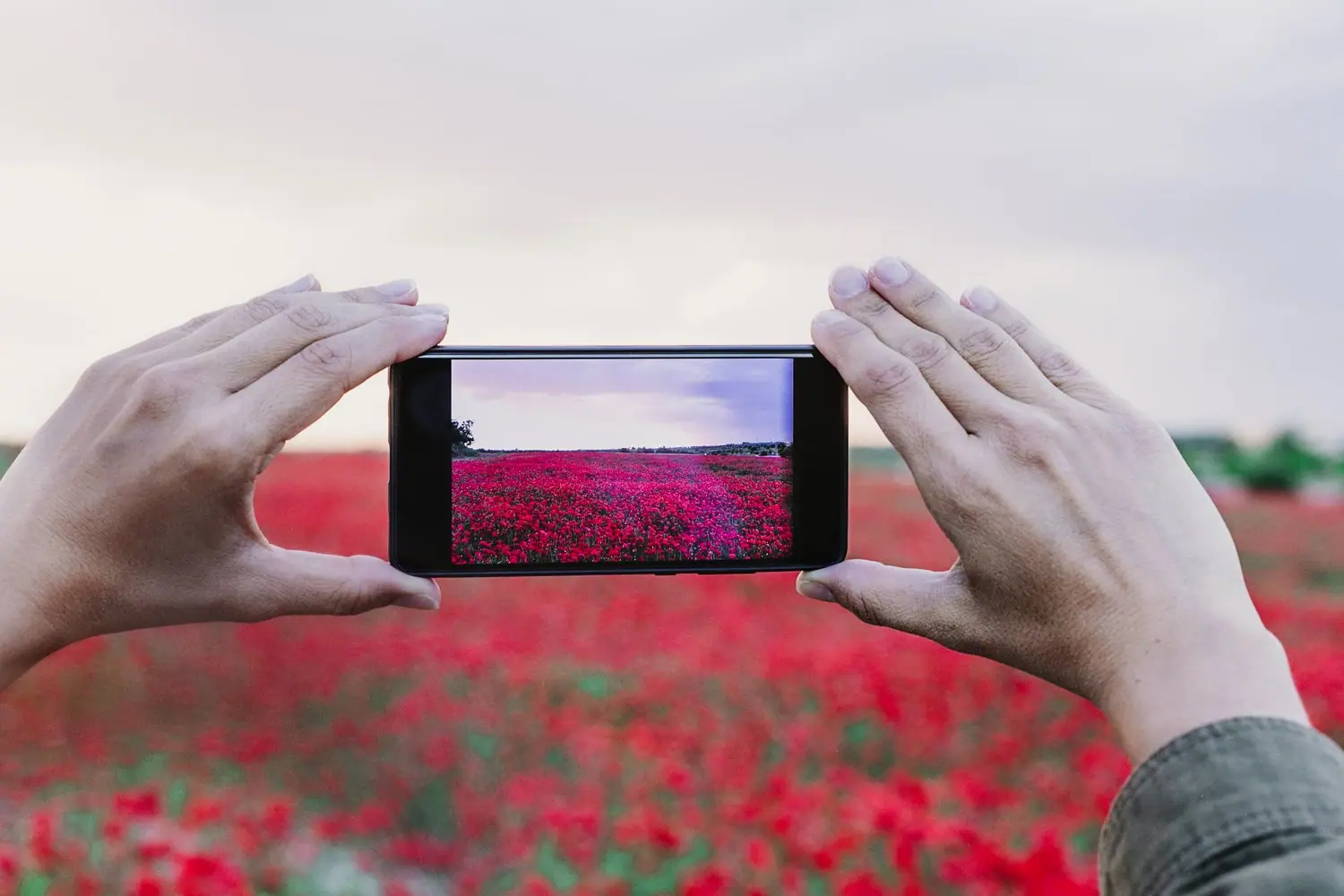 Tworzenie klubu fotografii mobilnej dla amatorów